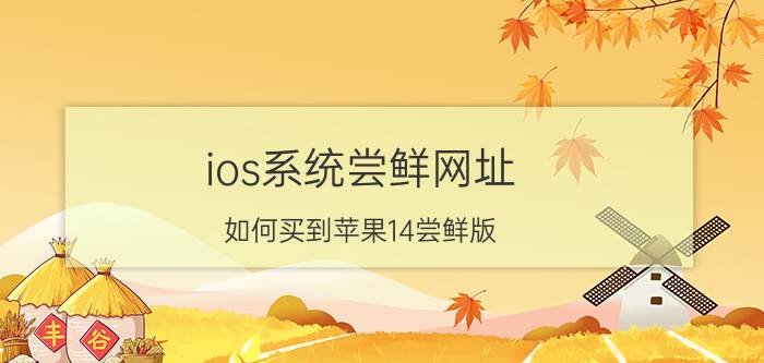 ios系统尝鲜网址 如何买到苹果14尝鲜版？